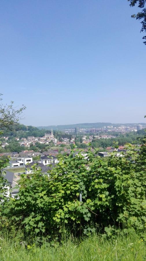 Ferienwohnung Niklas โวล์คลิงเงน ภายนอก รูปภาพ